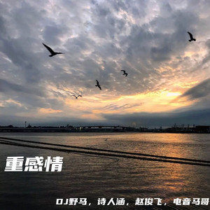 性爱视频网址在线观看高清中文
