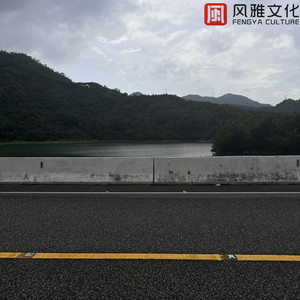 性爱视频网址在线观看高清中文
